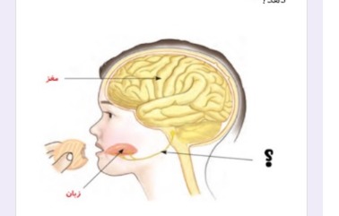 دریافت سوال 6