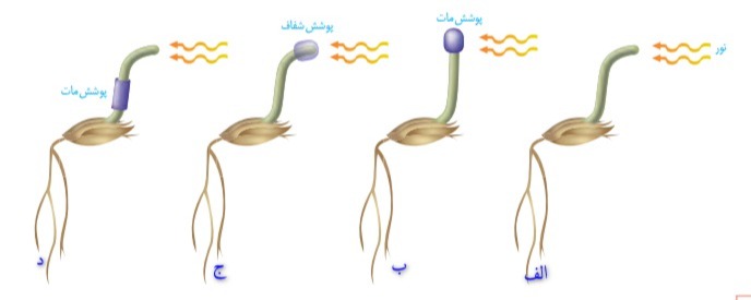 دریافت سوال 19