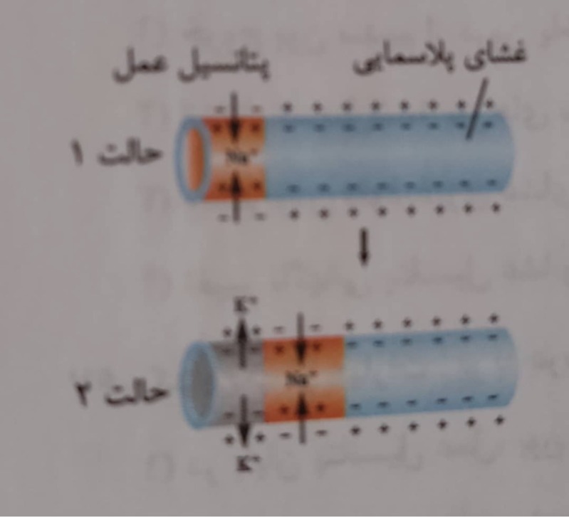 دریافت سوال 3