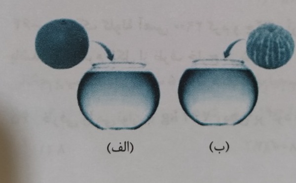 دریافت سوال 8