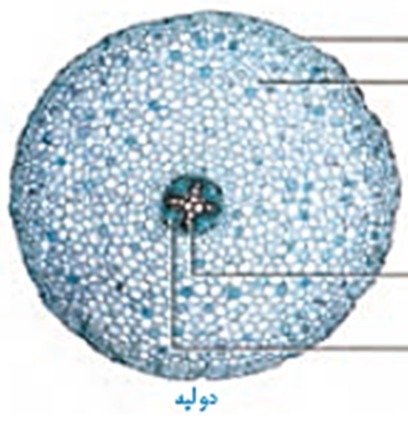 دریافت سوال 24