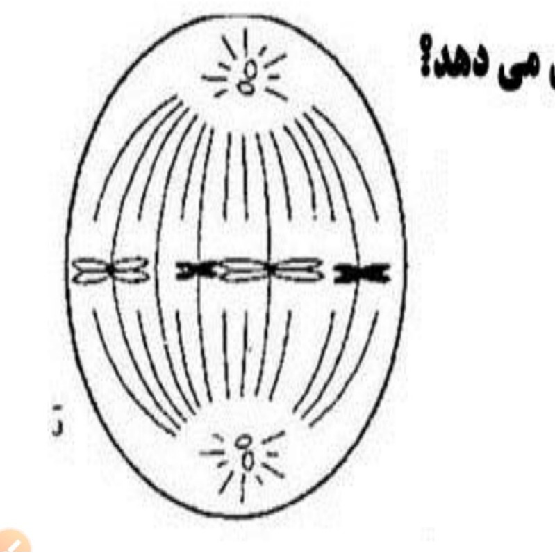 دریافت سوال 15