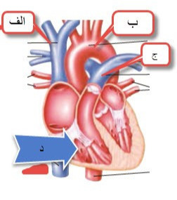 دریافت سوال 14