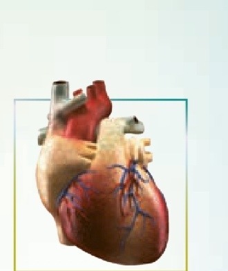 دریافت سوال 13