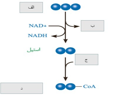 دریافت سوال 19