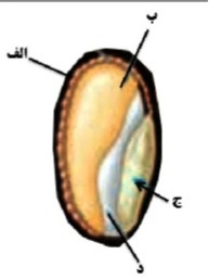 دریافت سوال 28