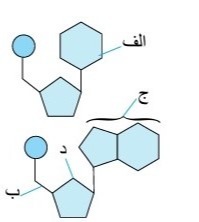 دریافت سوال 5