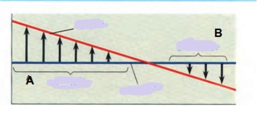 دریافت سوال 24