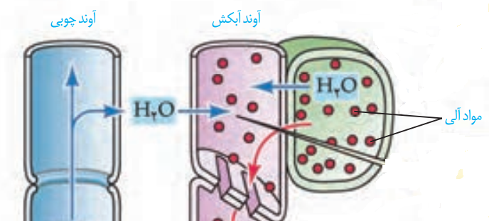 دریافت سوال 56