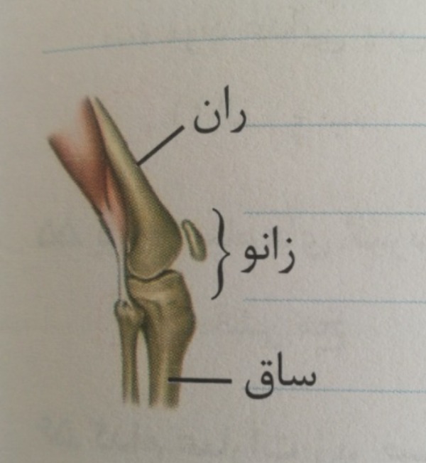 دریافت سوال 22