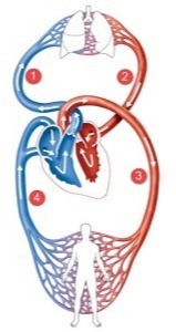 دریافت سوال 95