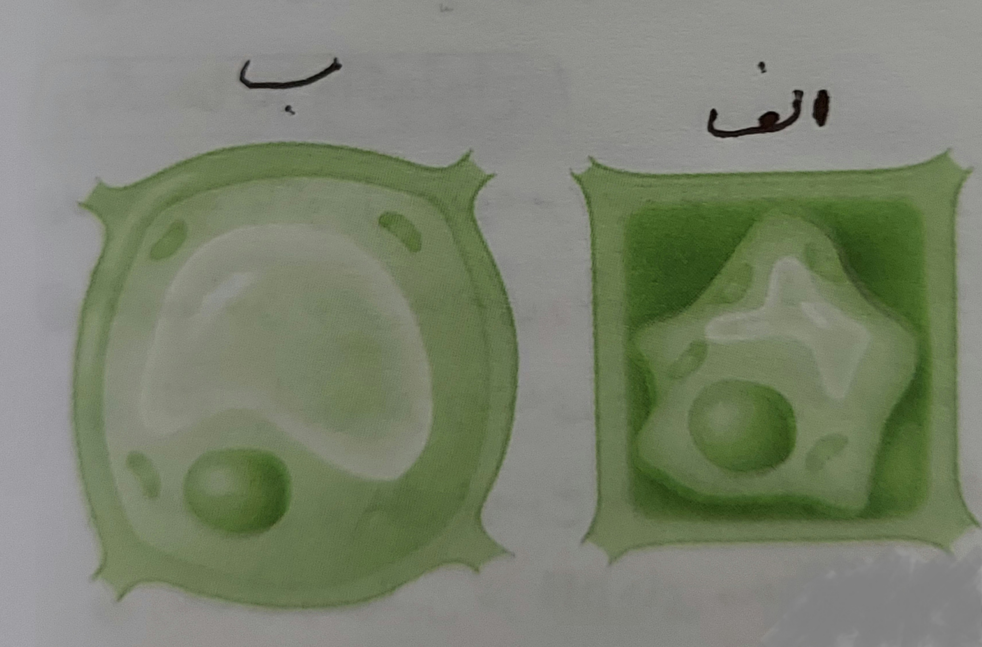 دریافت سوال 61