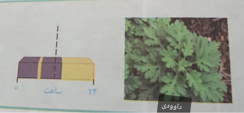 دریافت سوال 44