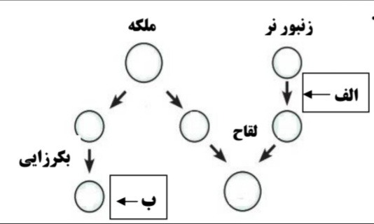 دریافت سوال 25