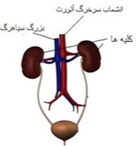 دریافت سوال 35