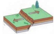 دریافت سوال 10