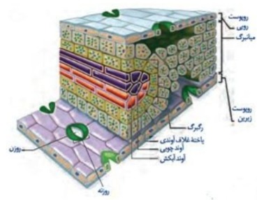 دریافت سوال 22