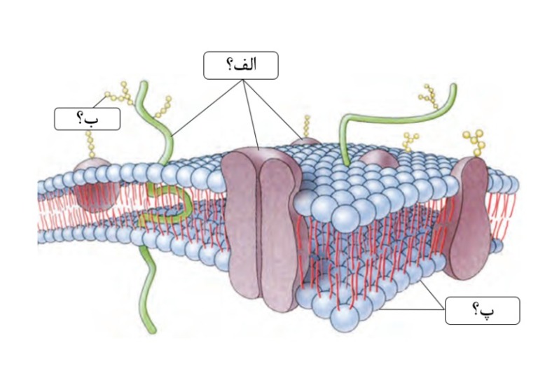 دریافت سوال 10