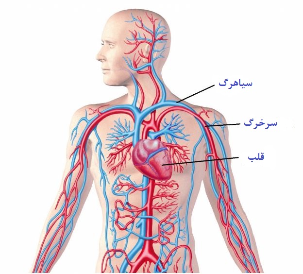 دریافت سوال 5