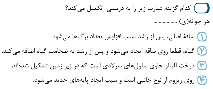 دریافت سوال 17