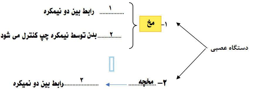 دریافت سوال 10