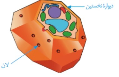 دریافت سوال 27