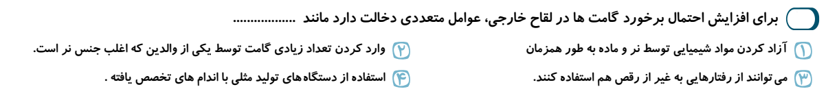 دریافت سوال 17