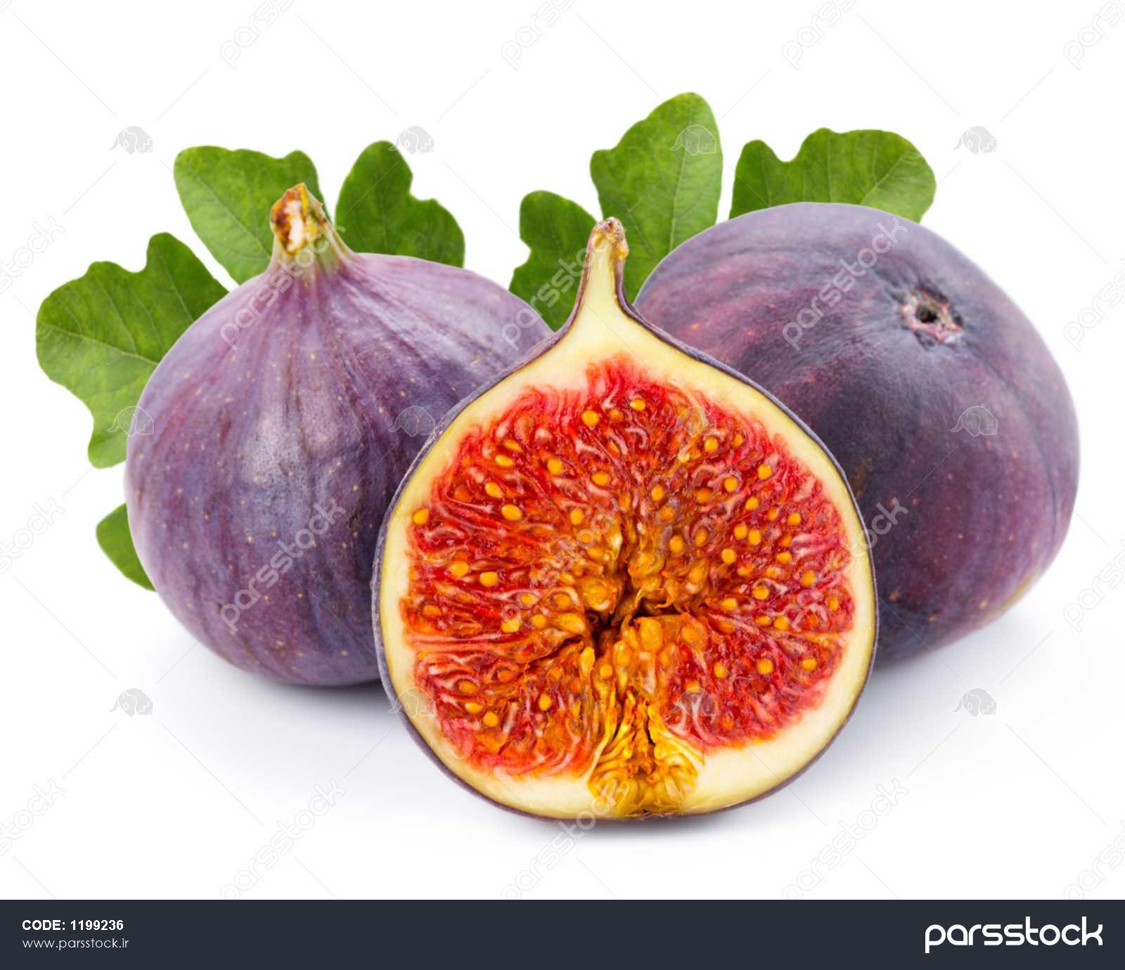 دریافت سوال 23