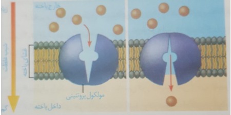 دریافت سوال 8