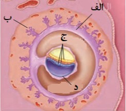 دریافت سوال 9