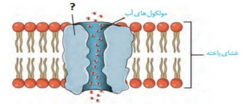 دریافت سوال 32