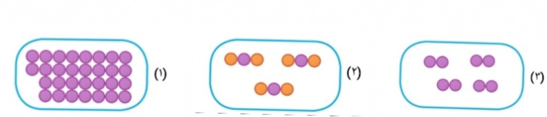 دریافت سوال 7