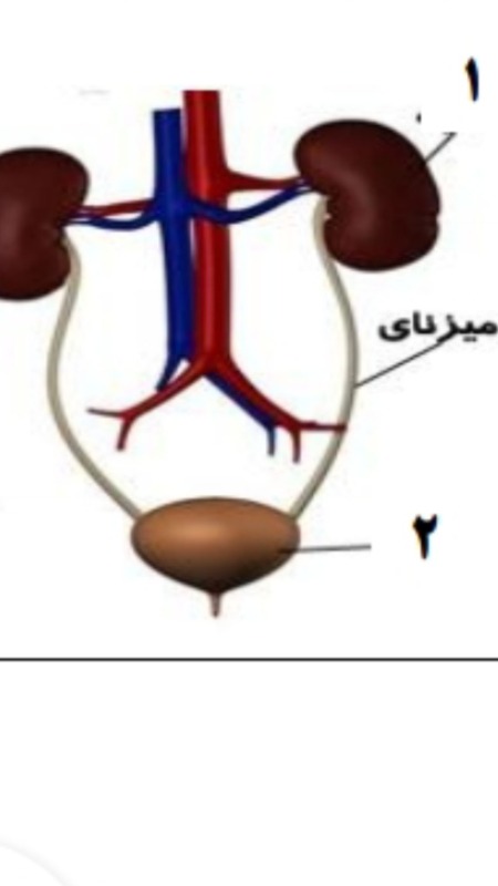 دریافت سوال 30