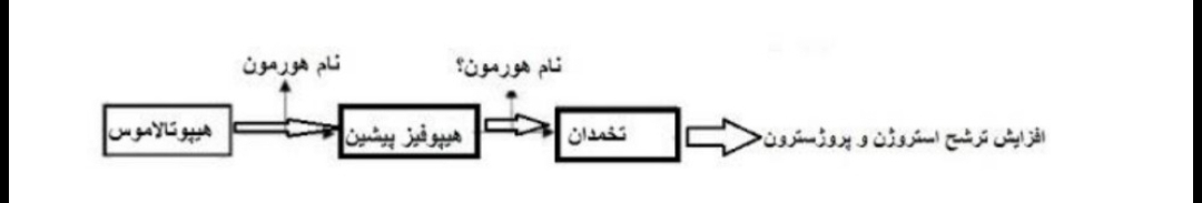 دریافت سوال 7