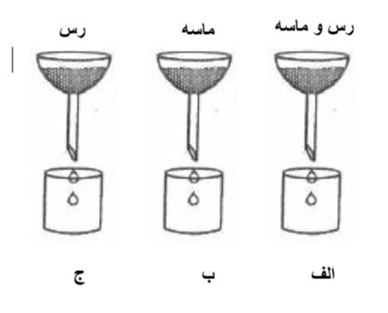 دریافت سوال 13