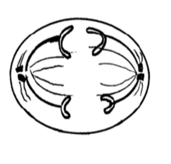 دریافت سوال 16