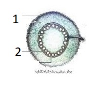 دریافت سوال 22