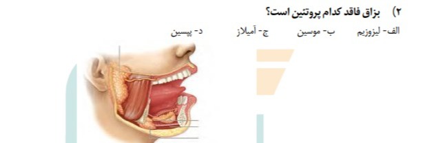 دریافت سوال 2