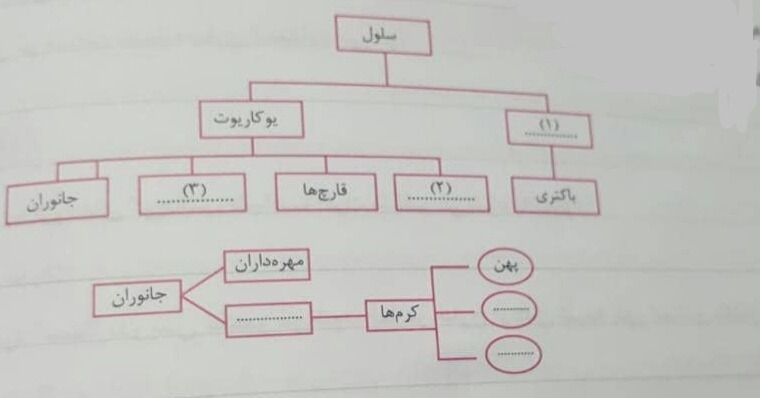 دریافت سوال 9