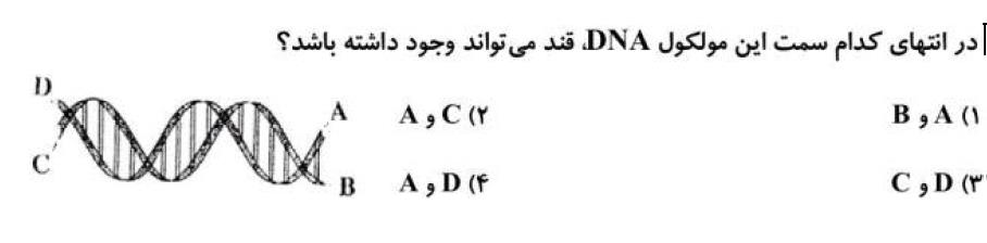 دریافت سوال 62