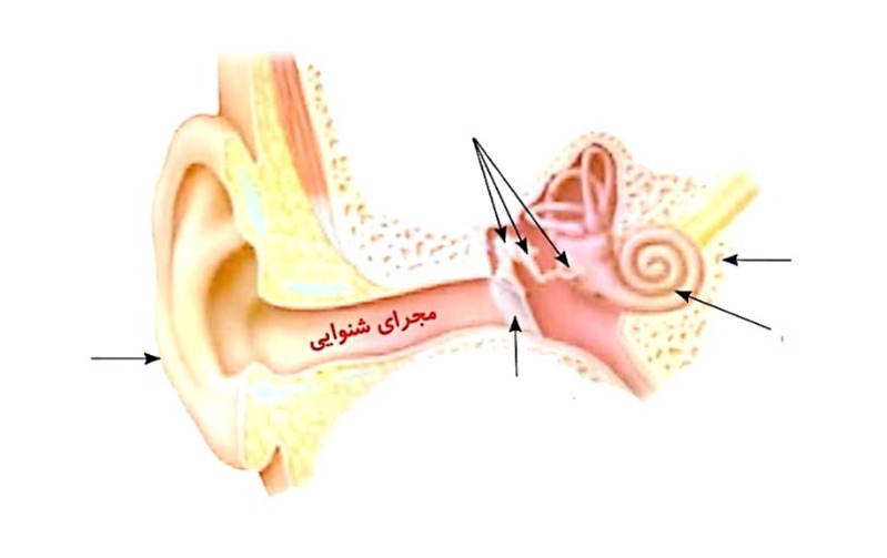 دریافت سوال 17