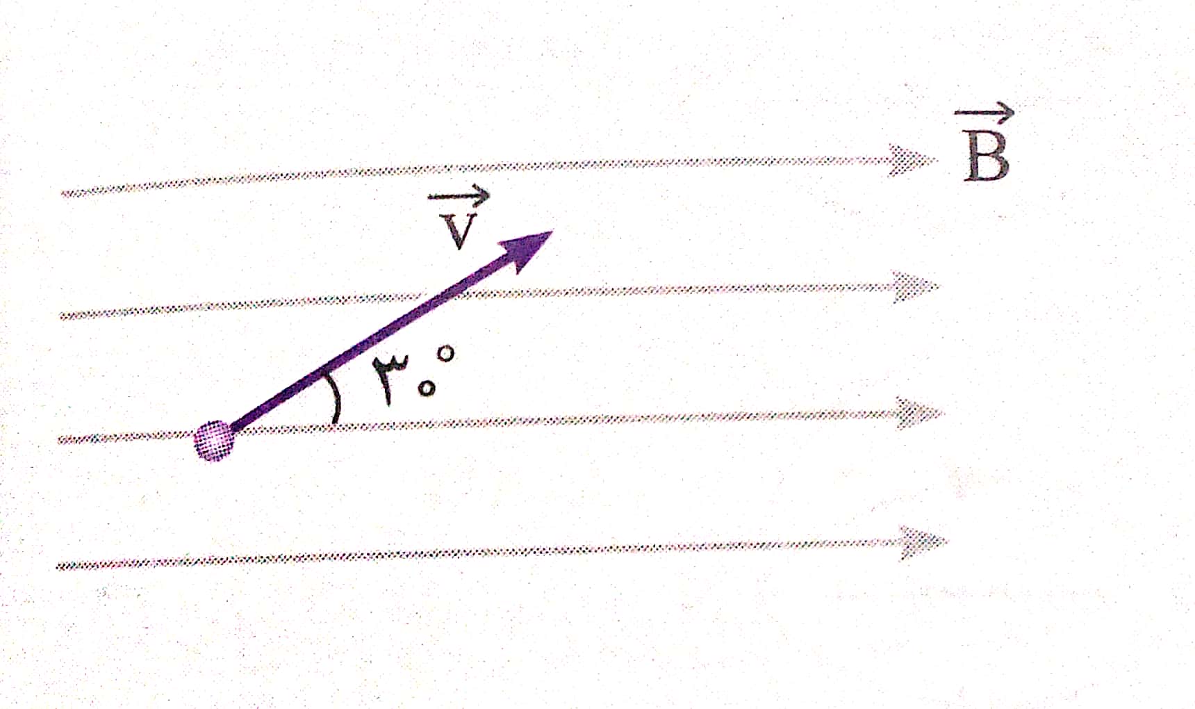 دریافت سوال 13