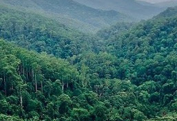 دریافت سوال 18