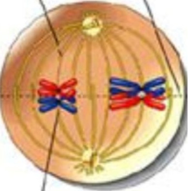 دریافت سوال 9