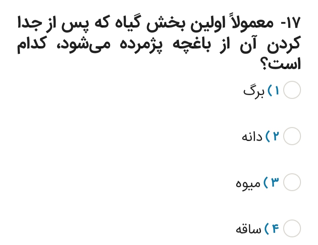 دریافت سوال 17