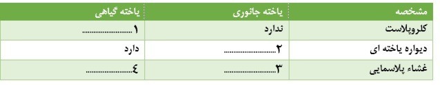 دریافت سوال 15