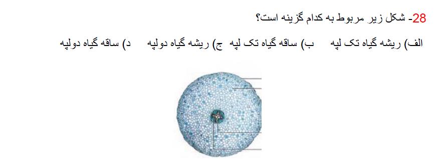 دریافت سوال 28