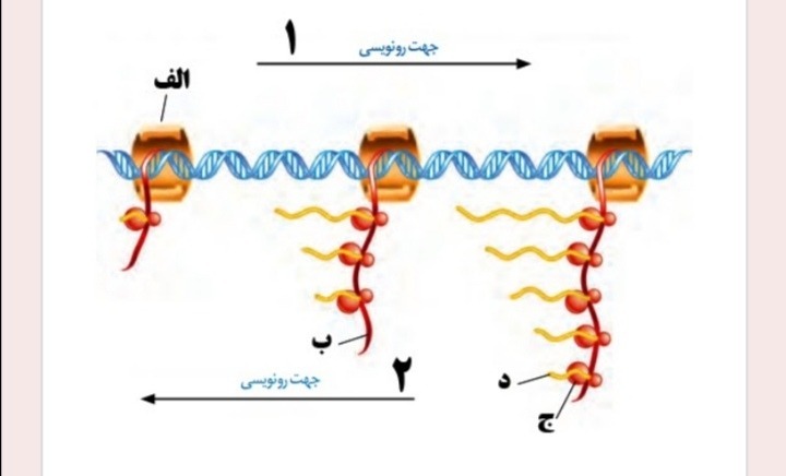 دریافت سوال 29