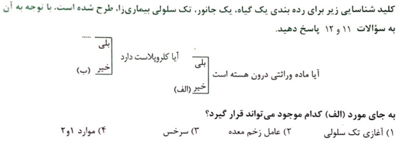 دریافت سوال 11