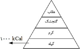 دریافت سوال 25